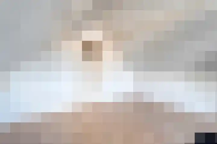 Bosmansweg 47 Nieuwleusen thumbnail 35
