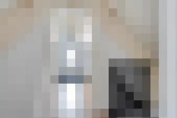 Bosmansweg 47 Nieuwleusen thumbnail 36