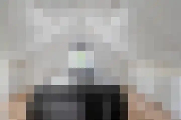 Bosmansweg 47 Nieuwleusen thumbnail 37