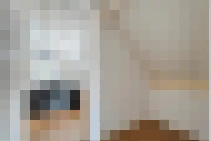 Bosmansweg 47 Nieuwleusen thumbnail 38