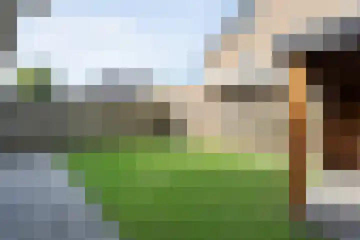 Bosmansweg 47 Nieuwleusen thumbnail 39