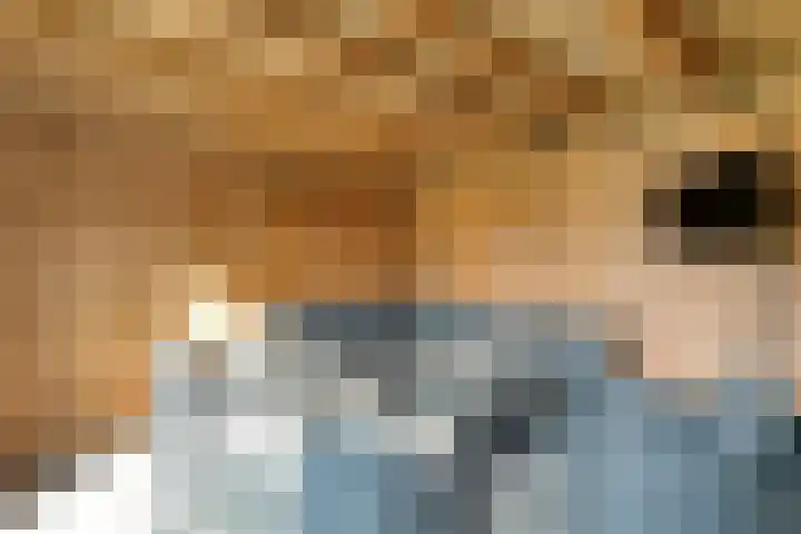 Bosmansweg 47 Nieuwleusen thumbnail 40