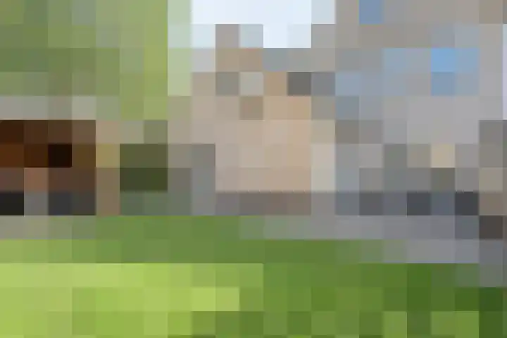 Bosmansweg 47 Nieuwleusen thumbnail 41