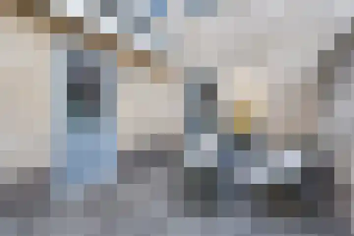 Bosmansweg 47 Nieuwleusen thumbnail 43