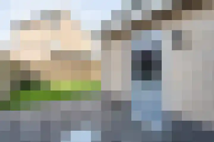 Bosmansweg 47 Nieuwleusen thumbnail 44