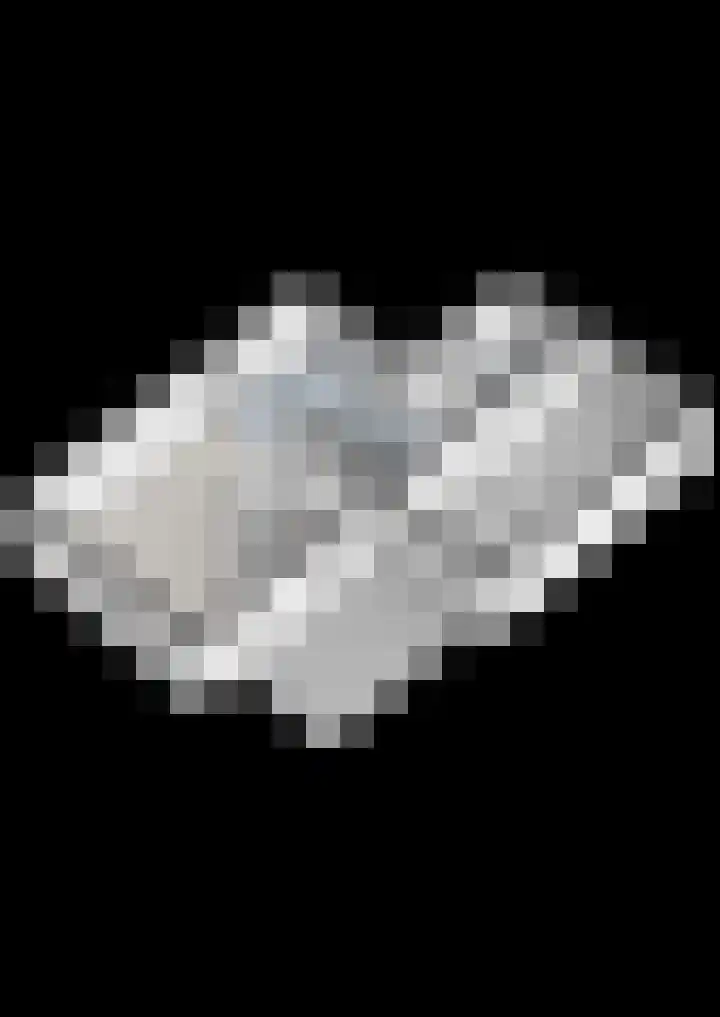 Bosmansweg 47 Nieuwleusen thumbnail 46
