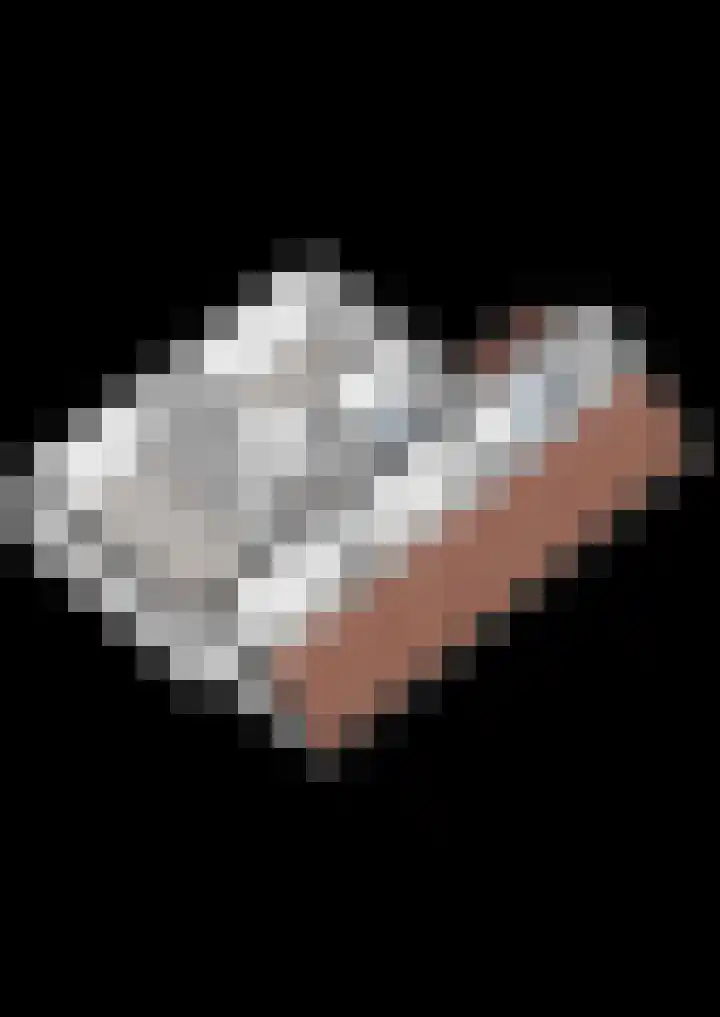 Bosmansweg 47 Nieuwleusen thumbnail 48