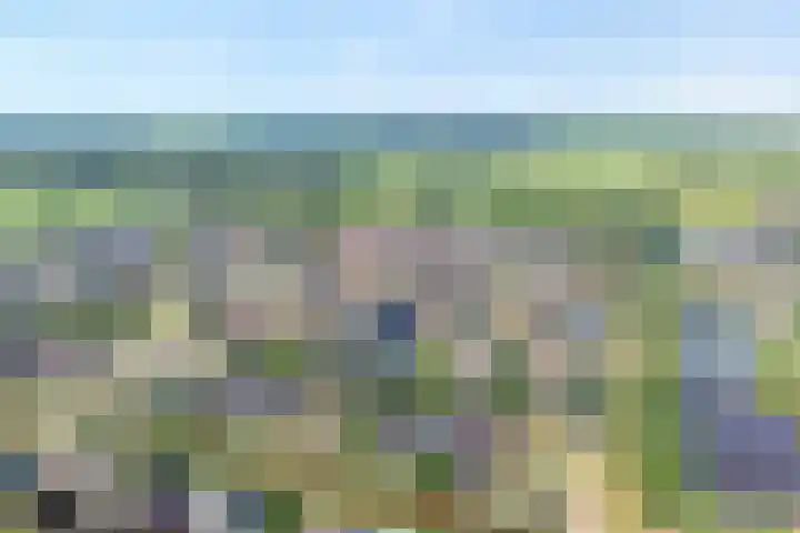 Bosmansweg 47 Nieuwleusen thumbnail 5