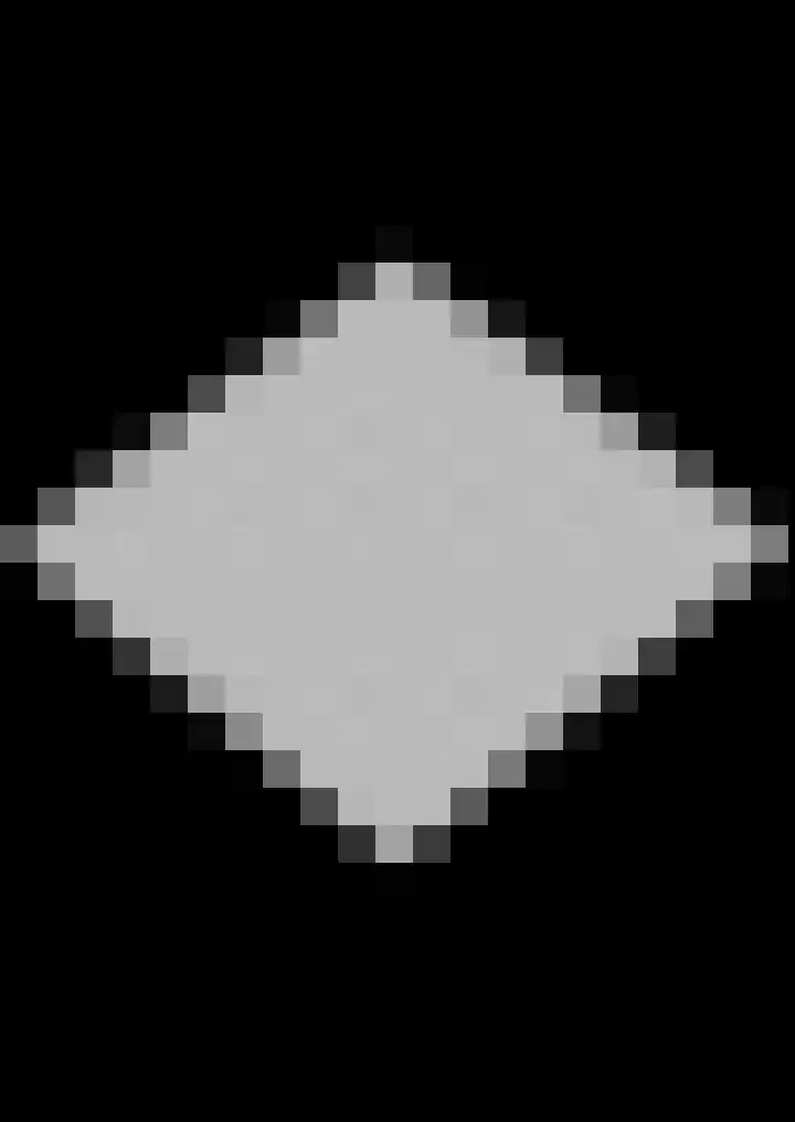 Bosmansweg 47 Nieuwleusen thumbnail 52