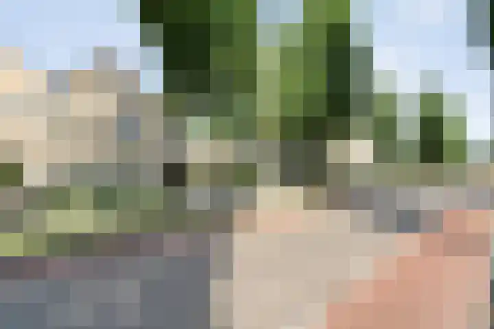 Bosmansweg 47 Nieuwleusen thumbnail 6
