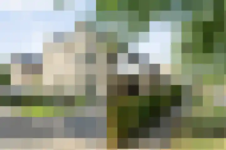 Bosmansweg 47 Nieuwleusen thumbnail 7