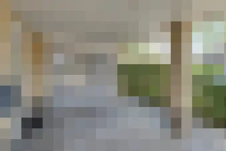 Bosmansweg 47 Nieuwleusen thumbnail 9