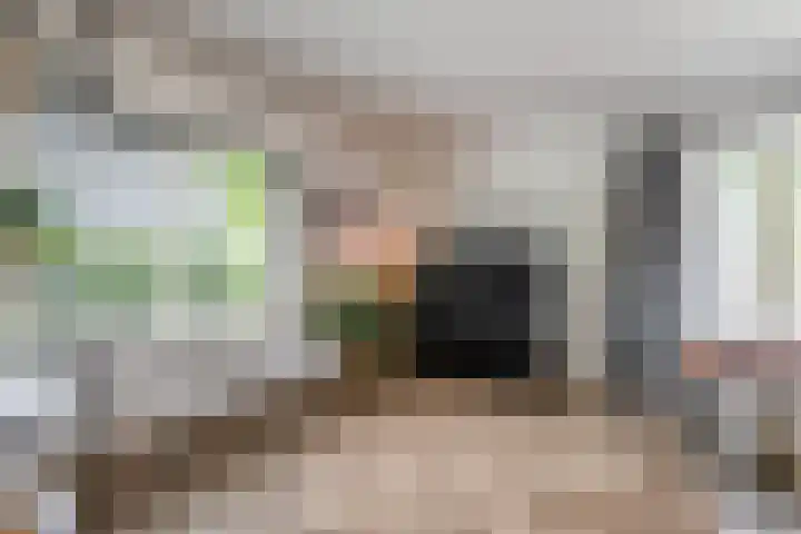Bosmansweg 6 Nieuwleusen thumbnail 10