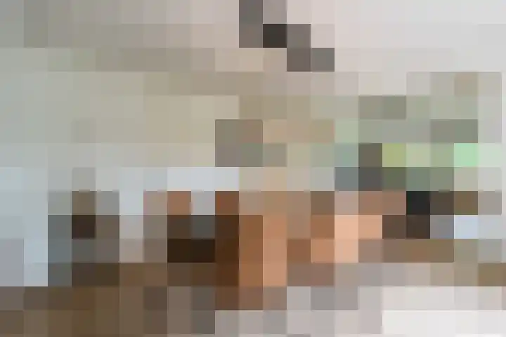 Bosmansweg 6 Nieuwleusen thumbnail 11
