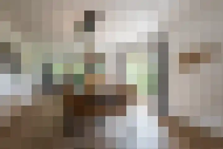 Bosmansweg 6 Nieuwleusen thumbnail 12