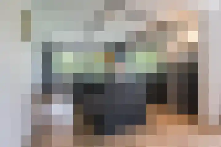Bosmansweg 6 Nieuwleusen thumbnail 14