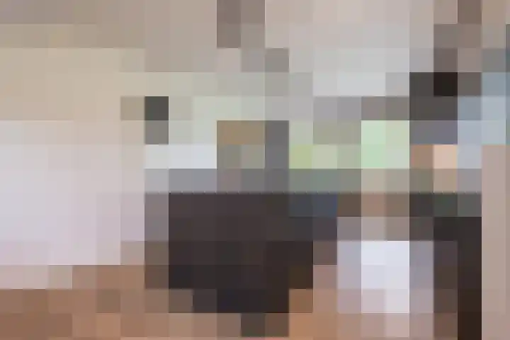 Bosmansweg 6 Nieuwleusen thumbnail 15