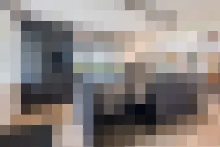 Bosmansweg 6 Nieuwleusen thumbnail 16