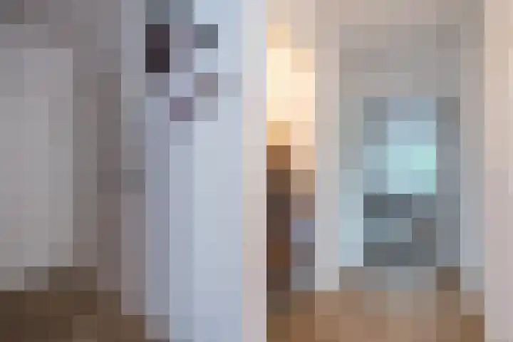 Bosmansweg 6 Nieuwleusen thumbnail 17