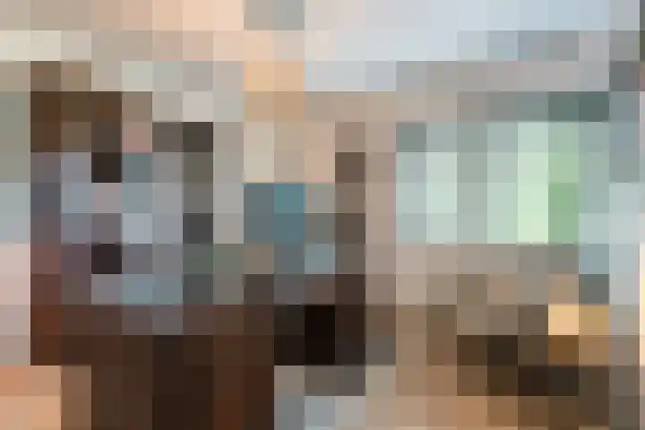 Bosmansweg 6 Nieuwleusen thumbnail 18