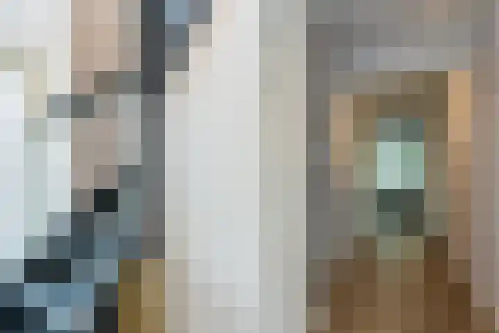Bosmansweg 6 Nieuwleusen thumbnail 21