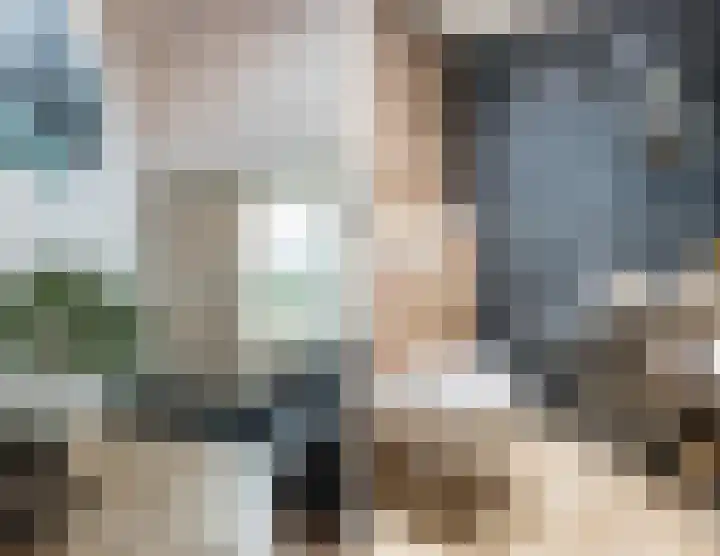 Bosmansweg 6 Nieuwleusen thumbnail 22