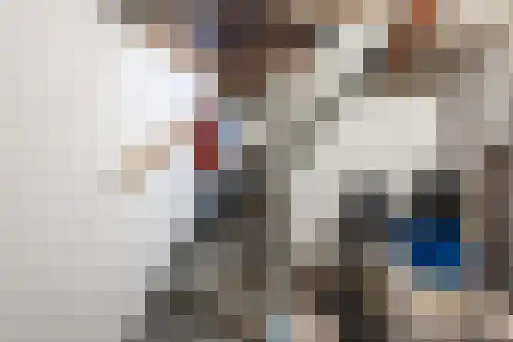 Bosmansweg 6 Nieuwleusen thumbnail 24
