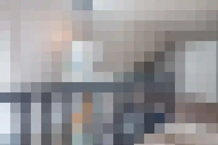 Bosmansweg 6 Nieuwleusen thumbnail 28