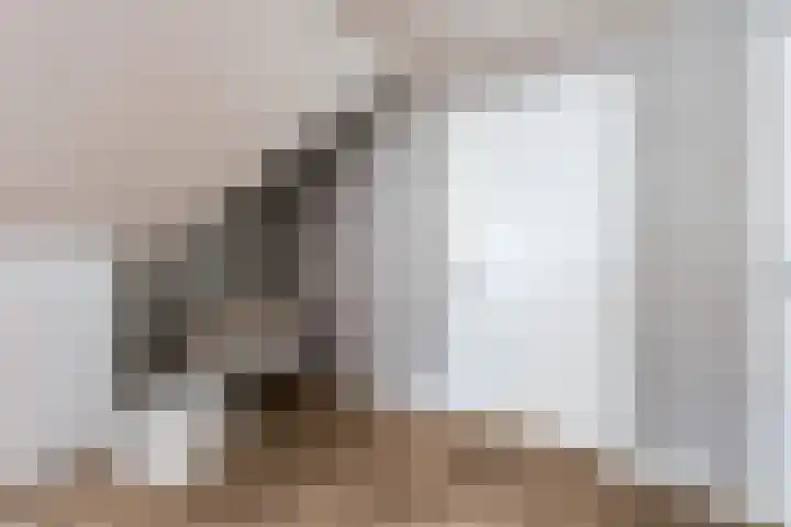 Bosmansweg 6 Nieuwleusen thumbnail 29