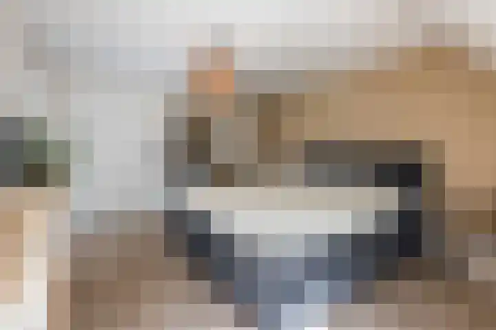 Bosmansweg 6 Nieuwleusen thumbnail 30