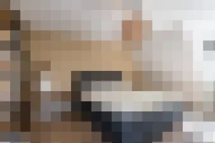 Bosmansweg 6 Nieuwleusen thumbnail 31