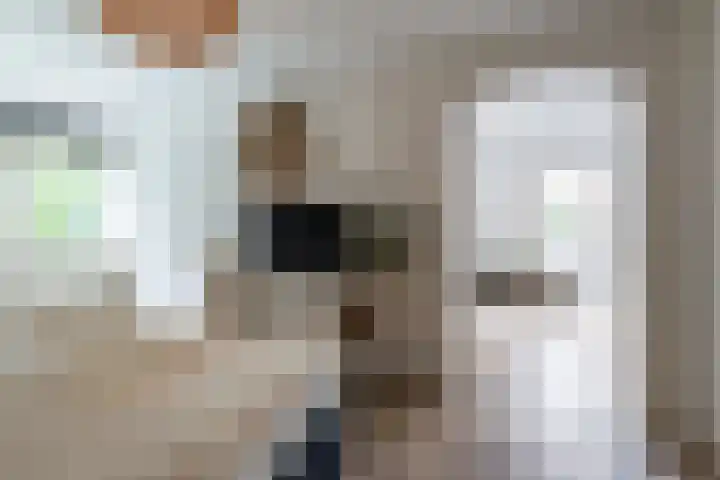 Bosmansweg 6 Nieuwleusen thumbnail 32