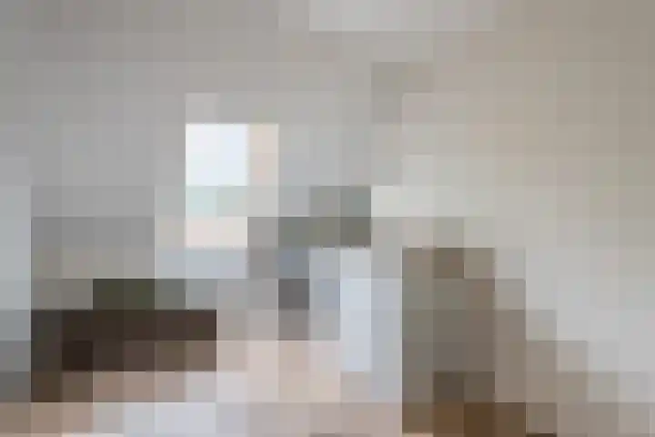 Bosmansweg 6 Nieuwleusen thumbnail 33