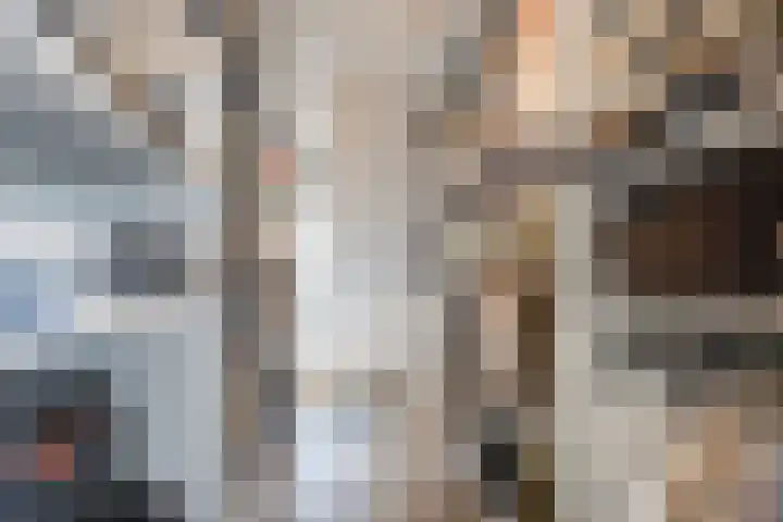 Bosmansweg 6 Nieuwleusen thumbnail 36