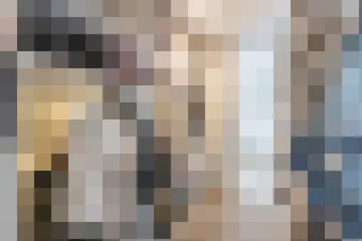 Bosmansweg 6 Nieuwleusen thumbnail 37