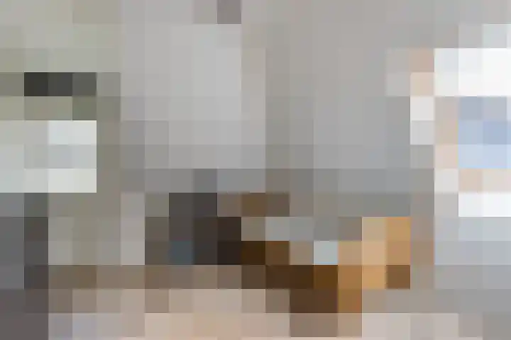 Bosmansweg 6 Nieuwleusen thumbnail 38