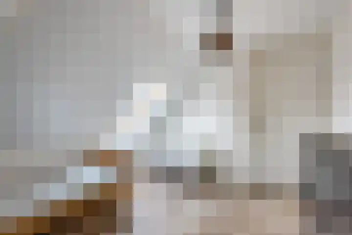 Bosmansweg 6 Nieuwleusen thumbnail 39