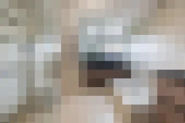 Bosmansweg 6 Nieuwleusen thumbnail 40