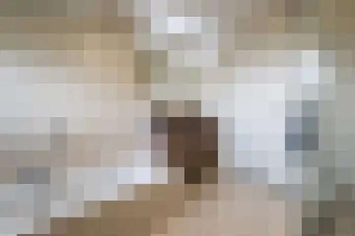 Bosmansweg 6 Nieuwleusen thumbnail 42
