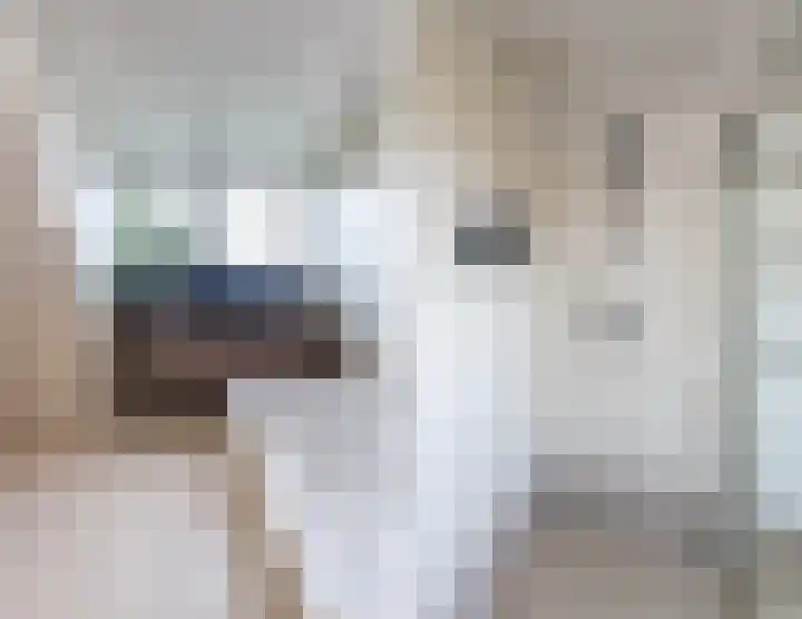 Bosmansweg 6 Nieuwleusen thumbnail 43