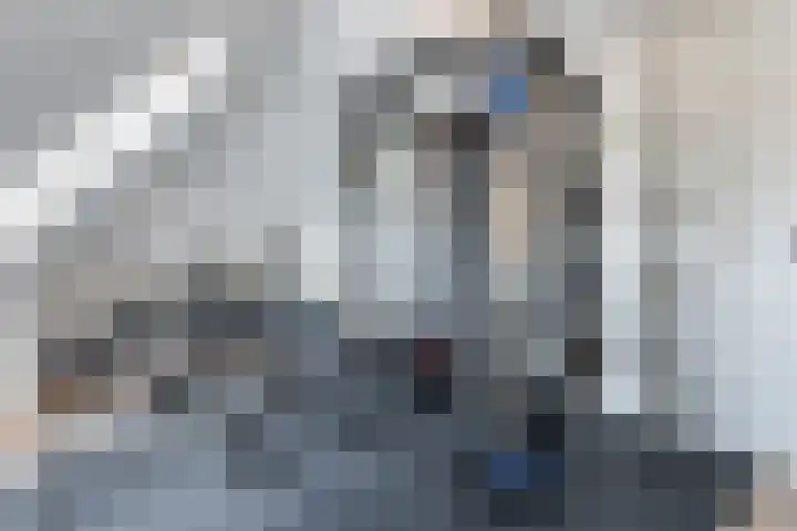 Bosmansweg 6 Nieuwleusen thumbnail 44