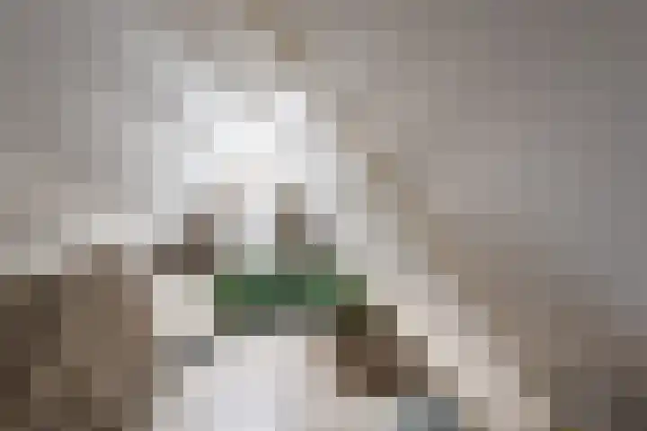 Bosmansweg 6 Nieuwleusen thumbnail 47