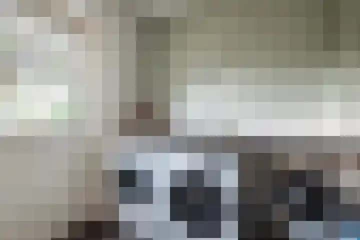 Bosmansweg 6 Nieuwleusen thumbnail 49