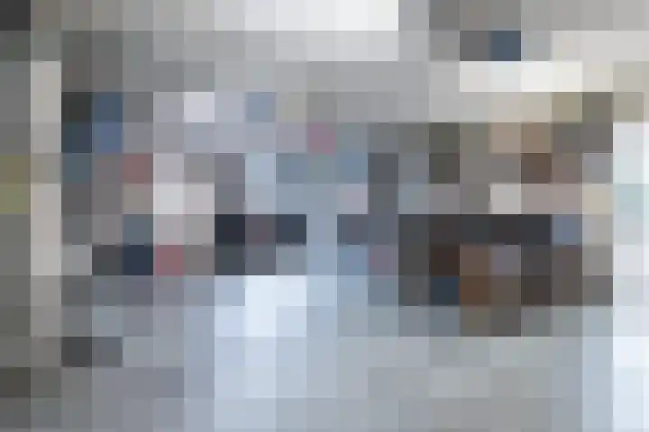 Bosmansweg 6 Nieuwleusen thumbnail 53