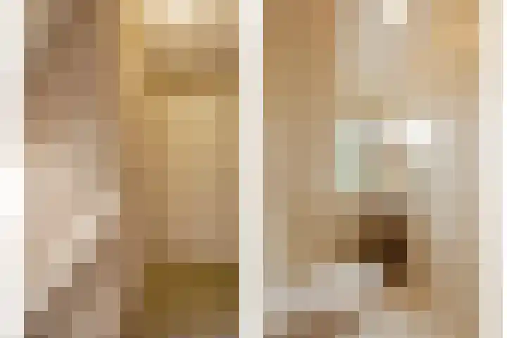 Bosmansweg 6 Nieuwleusen thumbnail 55