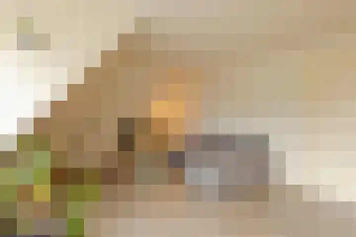 Bosmansweg 6 Nieuwleusen thumbnail 56