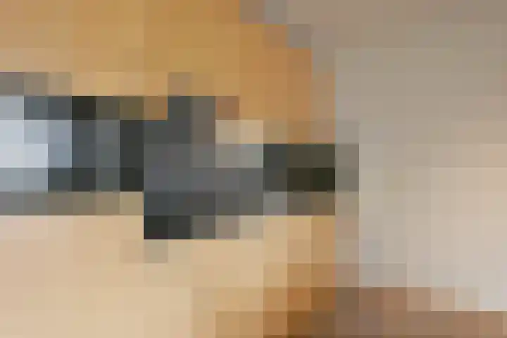 Bosmansweg 6 Nieuwleusen thumbnail 59