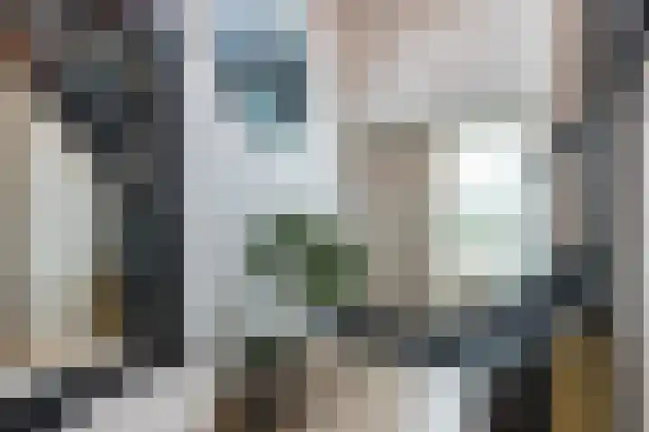 Bosmansweg 6 Nieuwleusen thumbnail 6