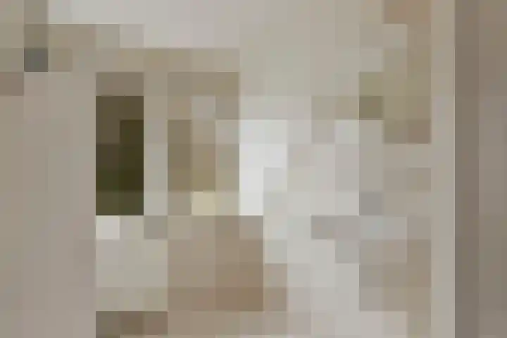 Bosmansweg 6 Nieuwleusen thumbnail 61