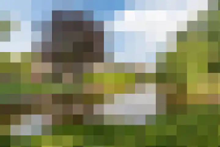 Bosmansweg 6 Nieuwleusen thumbnail 65